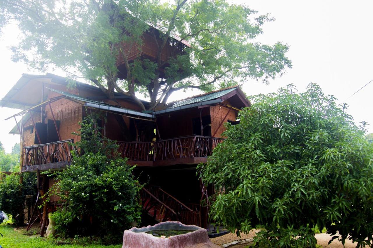 Anushka Nera Nature House Sigiriya Zimmer foto